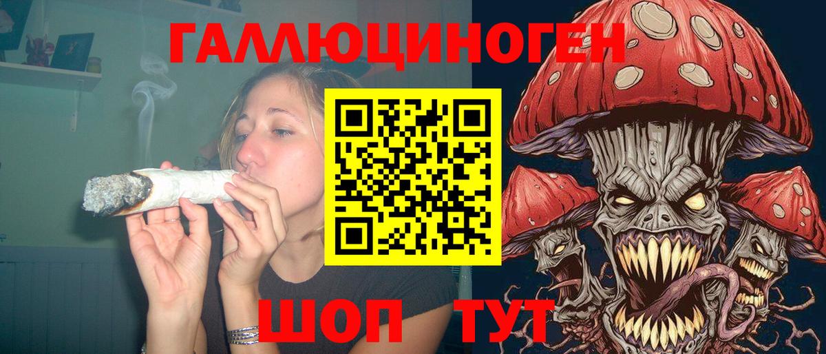 Галлюциногенные грибы прущие грибы  Вход с VPN  Кузнецк  Псилоцибиновые грибы Psilocybine cubensis 