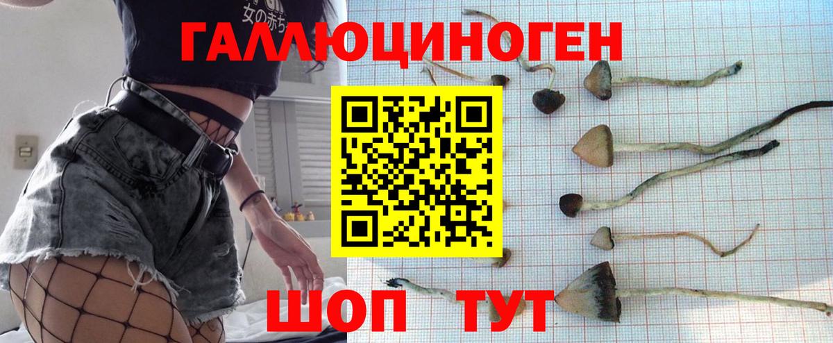 Галлюциногенные грибы мицелий Кузнецк